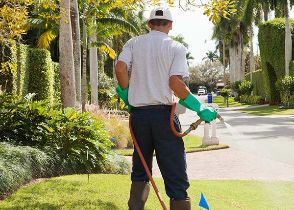 About Tenafly NJ Pest Control Pros